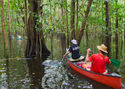pripri-de-yiyi-sinnamary-savanes-de-guyane