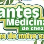 MEDECINE TRADITIONNELLE DE CHEZ  NOUS